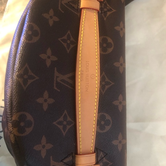 NEW Louis Vuitton Brown Monogram Belt Bag - Picture 2 of 8